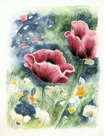 Mohn in Blumenwiese  (Bild 98)