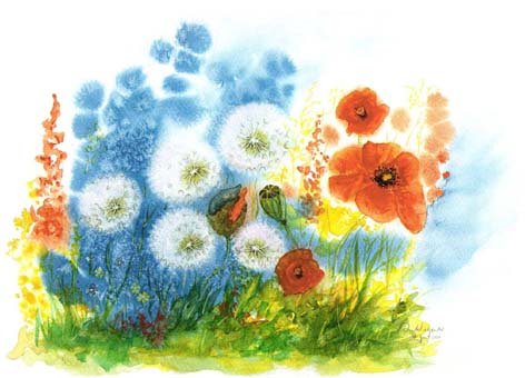 Pusteblumen mit Mohn I (Bild 46)