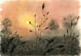 Sonnenaufgang in den Rieselfeldern - Morgens um Vier            (Bild 9)