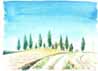 Toscana - 311003  (Bild 82)